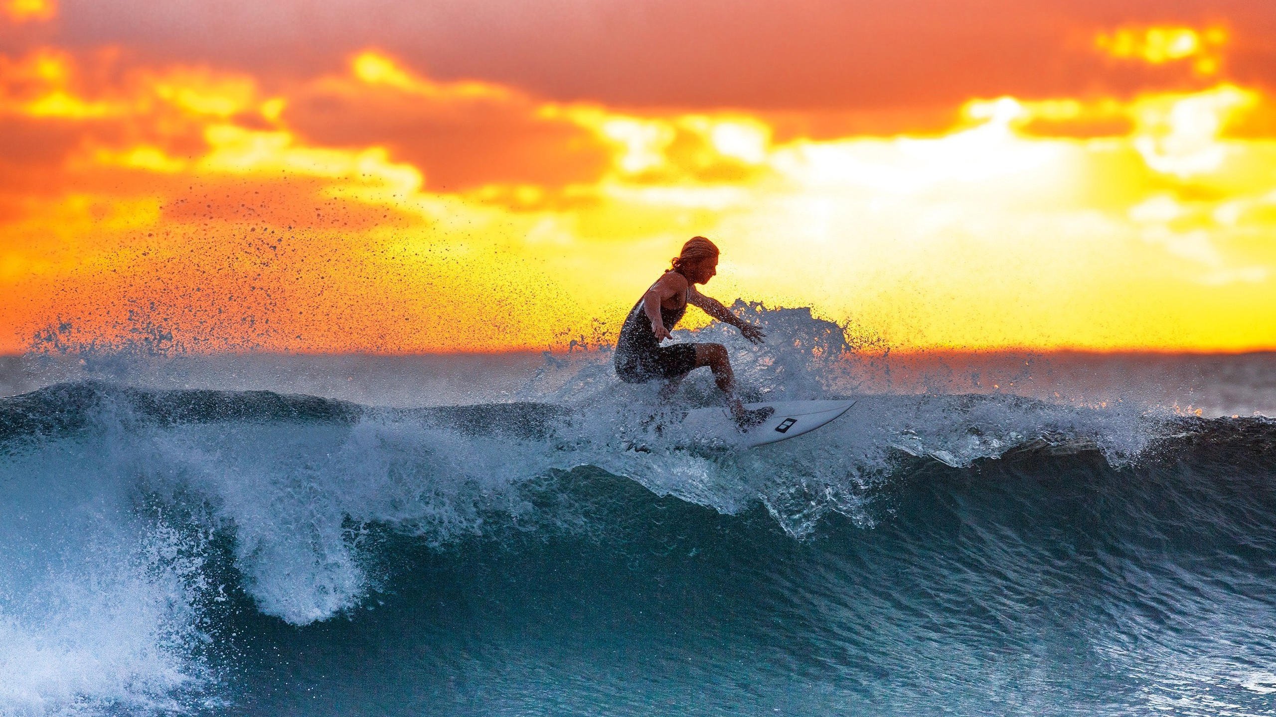 世界游泳联赛跨区域俱乐部合作协议签署，世界游泳俱乐部排名